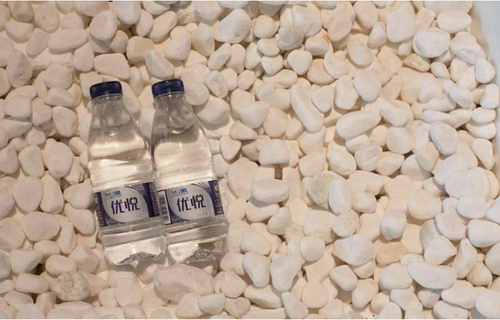 ��ˮ����ʷ ��������ƿˮ�ɲ���