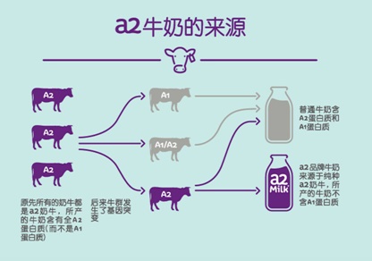 你确定要冷落牛奶吗?请三思!