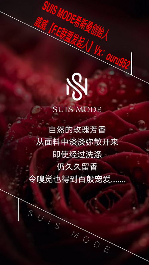 SUIS MODEϣ˹Ƥ۸ ʼôϵ F.E˷