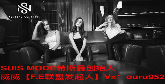 SUIS MODEϣ˹Ƥ۸ ʼôϵ F.E˷