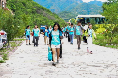 ��������Ѱ��֮�á�����2017����ɽ�������ֻ�������Ļ