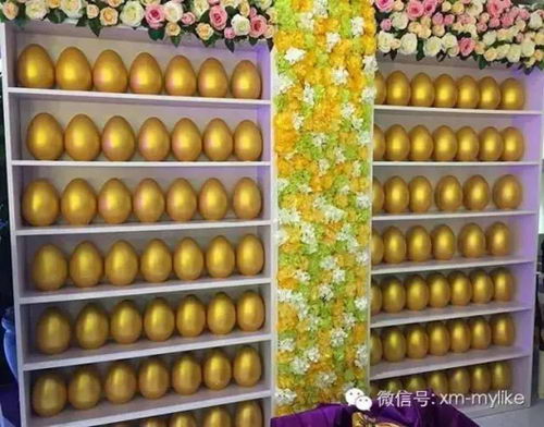 2017ҽԺҵʢ Ժ0 ɲ2