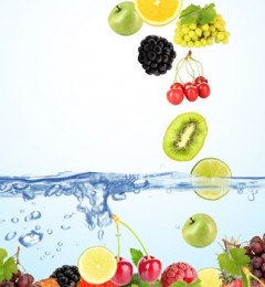 ��ϲ����ˮ��������������10��ˮʳ��