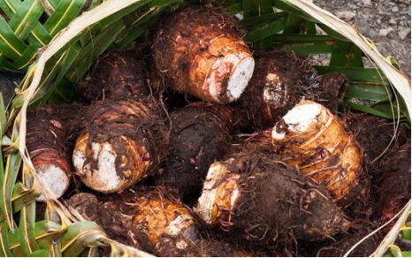 姚波治肿瘤安全靠谱——肿瘤患者的斗瘤饮食