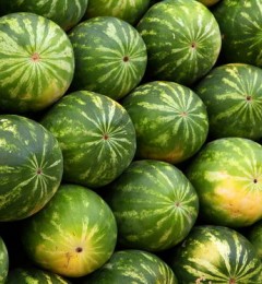 �������Ϻ��ˮ �����ӳ�θ��Ⱦ�ķ���