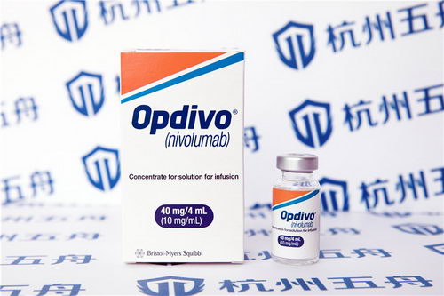 PD-1抗体效果怎么样