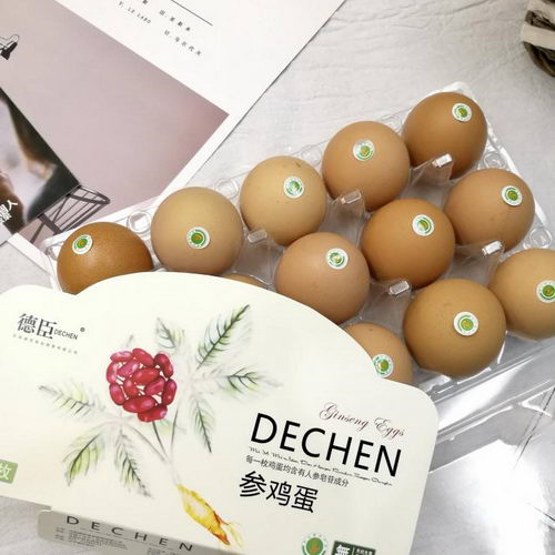 食品安全打造绿色生活,人参鸡蛋为健康背书