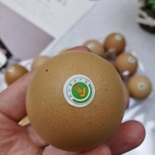 食品安全打造绿色生活,人参鸡蛋为健康背书