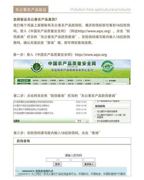 食品安全打造绿色生活,人参鸡蛋为健康背书