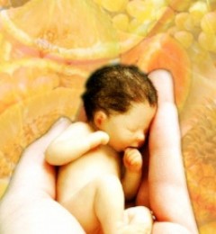 �����������������ڳԴ�������