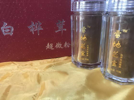 白桦茸有哪些功能作用? 白桦茸总经销王卫东博士揭晓!