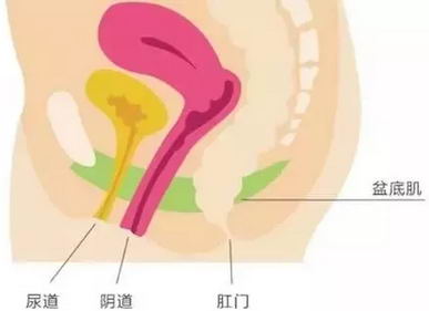 ҽԺ׺ڲڣǽҲ󽡿ڶ