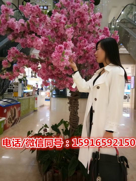 广州番禺区丝足按摩哪家好 桑拿按摩哪个酒店好?