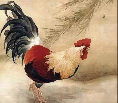 2018年犯太岁的四大生肖:狗、龙、鸡、羊