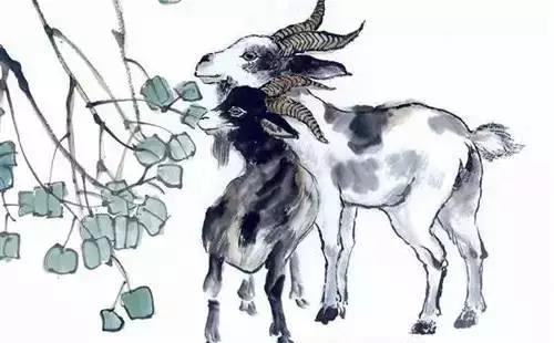 2018年犯太岁的四大生肖:狗、龙、鸡、羊