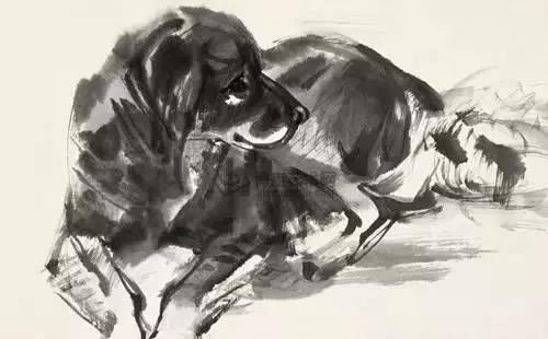 2018年犯太岁的四大生肖:狗、龙、鸡、羊