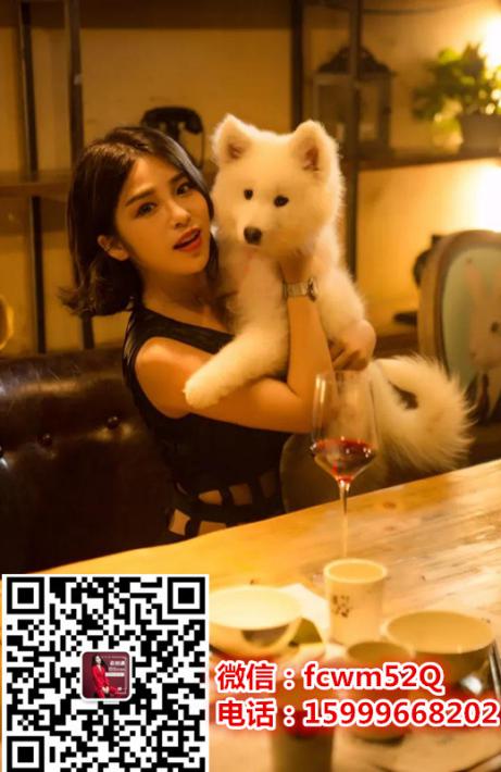 云创通果果依果树纤维固体饮料是什么,云创通YCT11是什么