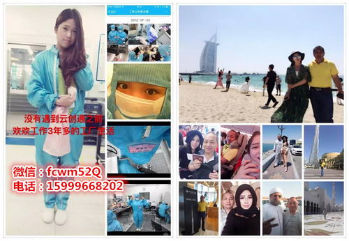 云创通果果依果树纤维固体饮料是什么,云创通YCT11是什么