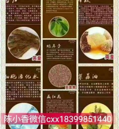 ��û�кõ�Ů��˽����Ʒ��Ӣ�ʼ�������С�����