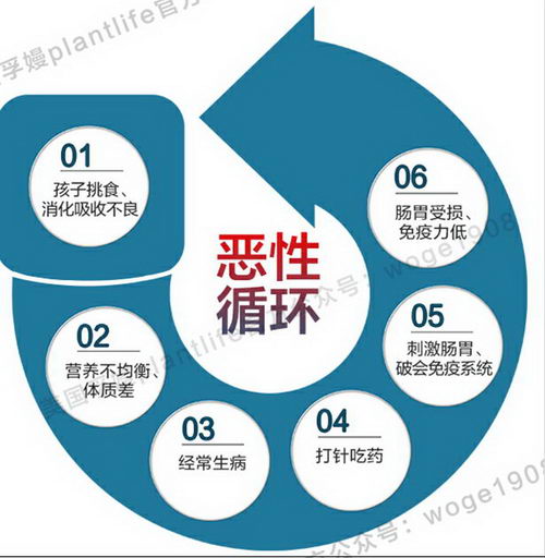 ڋplantlifeȿظȫЧȻ