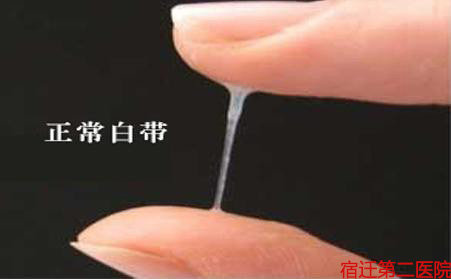 ǨڶҽԺô ߱׼ҪԼ ķ