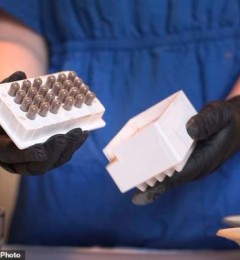 ׼�����̥�̽��� ��������������ϸ����Ⱦ