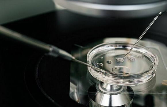 通过冷冻卵子来延长生育期限 真的靠谱吗?