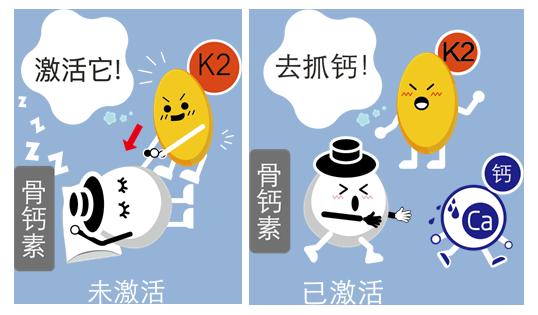 固升K2增加骨密度,改善骨质疏松