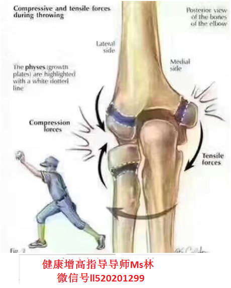 成人还能增高吗,怎样健康快速增高,推荐健康增高指导导师Ms林