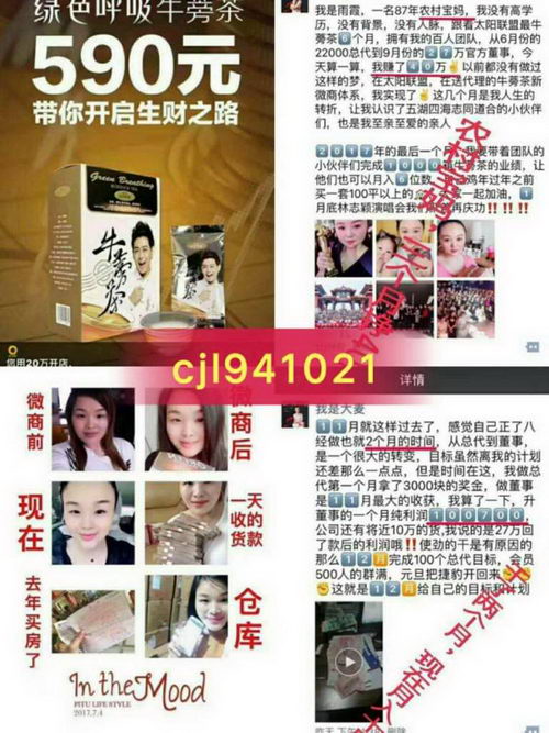 绿色呼吸牛蒡茶什么时候上市的 ?有什么功效? 总代佳丽招代理