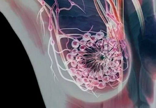 ҽԺйרһƺԴƽϸ ˽