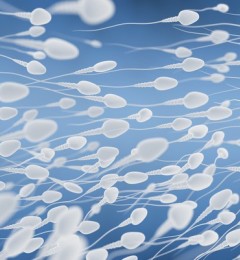 ������������֢ ��α�֤������������