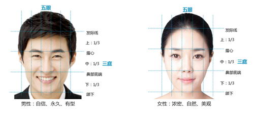 梁爱峰提倡发际线种植应遵循“宁高勿低”原则