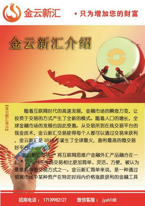 微交易平台有哪些,什么是微交易平台,推荐金云新汇微交易