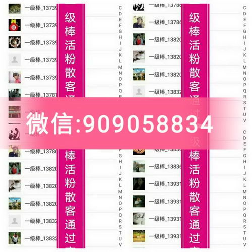 一级棒客源是什么?怎么激活?怎么代理?