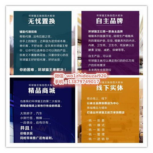 代理环球猫王有什么优势|代理可以月入上万吗