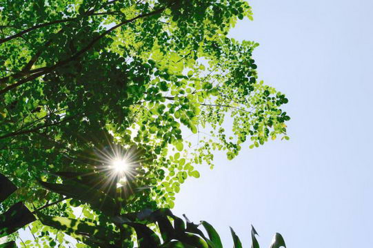 美国思通克林用后感受?是骗人的?【315记者调查】