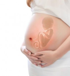 �и�DHA�ĸ�Ʒ�ƺã��Ա�Ŧ��˼��������ָ���......