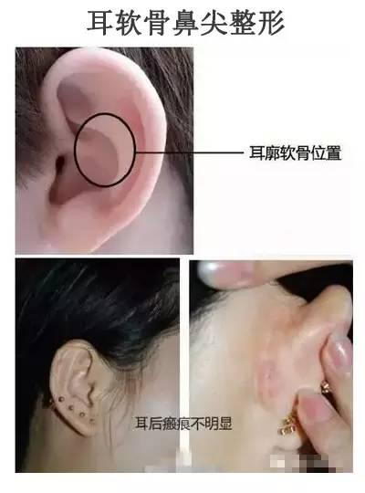 ,Ժ,иǲϽӽ,֯; зǳõԡᷢ; αǼ,ǷǳõĲϡ