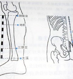 ������޲����ʵֲ��ۣ�������ʪ�°빦��