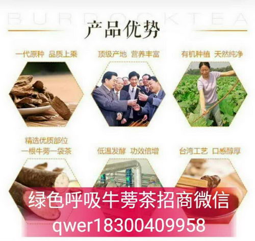 绿色呼吸牛蒡茶是骗局吗,批发价格是多少,内部拿货价是多少