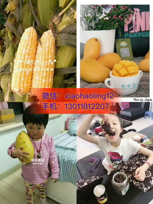 ʲôˮó|ú͹԰ԭ̬лˮ