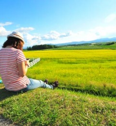 ����������Ϯ ƽ������Ѫ���� �뵡����ʧ