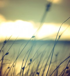 ���յ��� ������û�п粻���Ŀ�