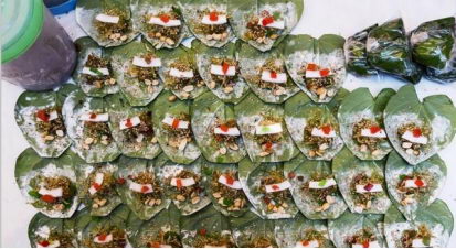 印度槟榔VS中国槟榔,两者差别可不止一点点