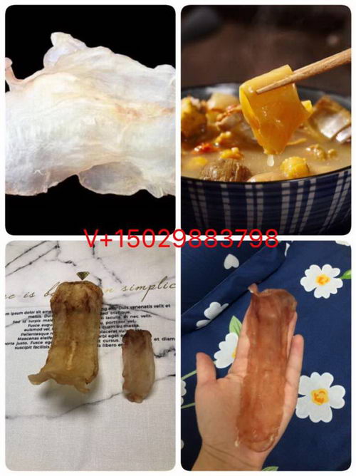 新西兰花胶怎么招代理,代理要怎么做