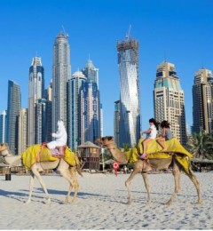 ˹ԶϰݣܺɫϵоĴڣ