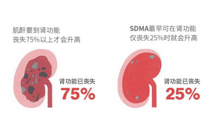安安宠医抢先应用宠物医疗界新专利,为宠物带来肾病诊疗大福利!