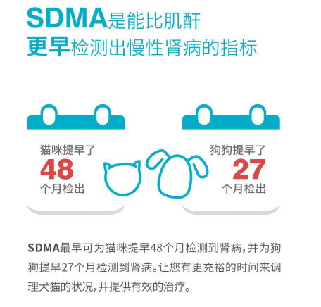 安安宠医抢先应用宠物医疗界新专利,为宠物带来肾病诊疗大福利!