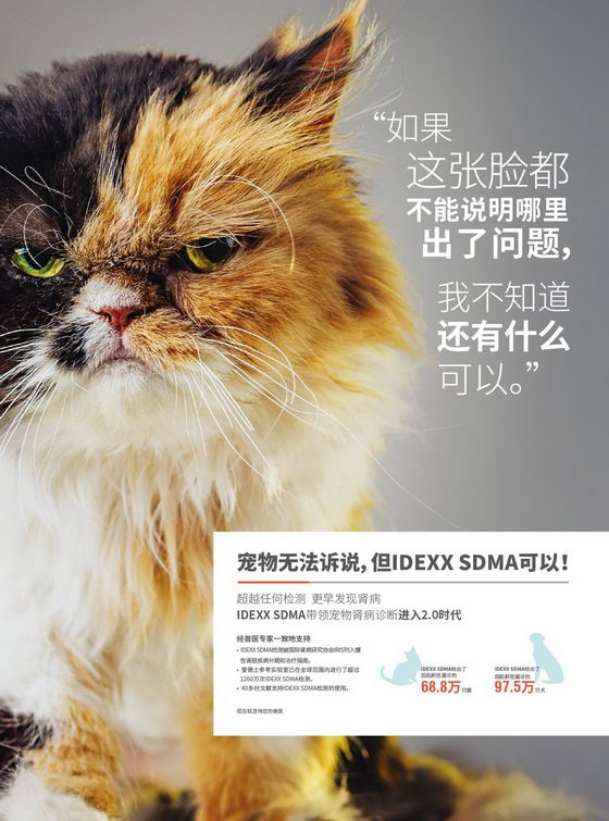 安安宠医抢先应用宠物医疗界新专利,为宠物带来肾病诊疗大福利!